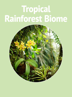 cover image of Tropical Rainforest Biome